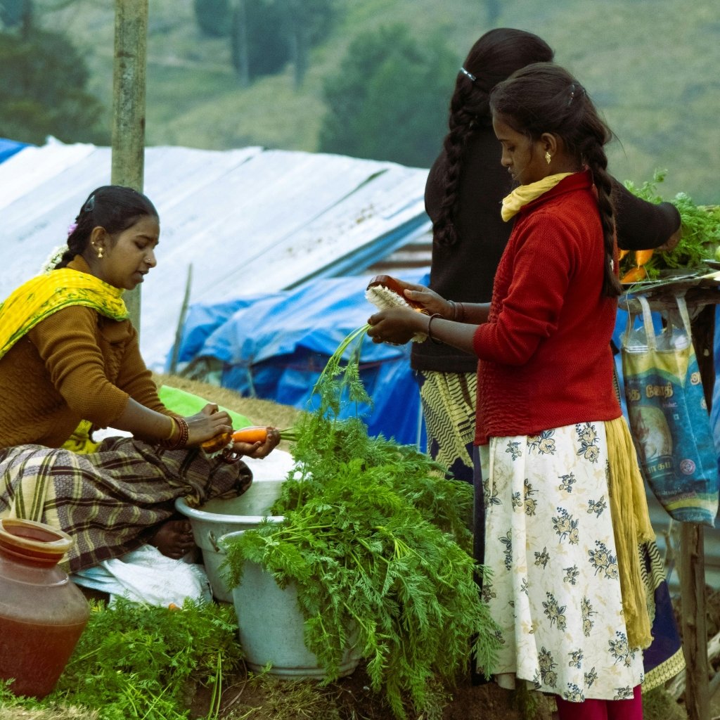 Rural Entrepreneurship